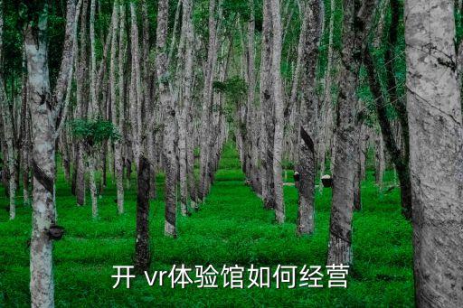 開(kāi) vr體驗(yàn)館如何經(jīng)營(yíng)