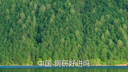 中國 鋼研好進嗎