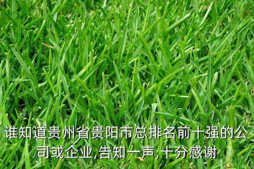 誰知道貴州省貴陽市總排名前十強的公司或企業(yè),告知一聲,十分感謝