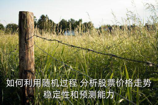 如何利用隨機過程 分析股票價格走勢穩(wěn)定性和預(yù)測能力