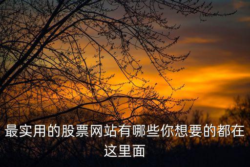 最實用的股票網(wǎng)站有哪些你想要的都在這里面
