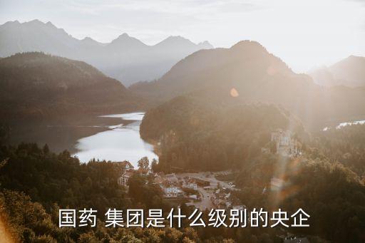  國藥 集團是什么級別的央企