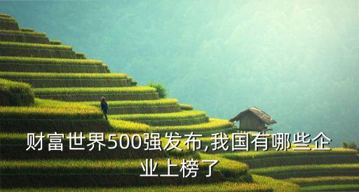 財(cái)富世界500強(qiáng)發(fā)布,我國(guó)有哪些企業(yè)上榜了
