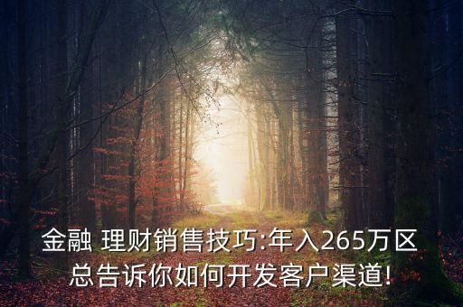 金融 理財(cái)銷售技巧:年入265萬區(qū)總告訴你如何開發(fā)客戶渠道!