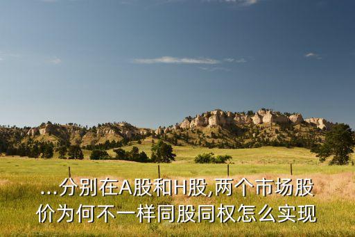 ...分別在A股和H股,兩個市場股價為何不一樣同股同權(quán)怎么實現(xiàn)