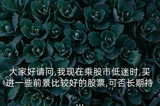 大家好請問,我現(xiàn)在乘股市低迷時,買進(jìn)一些前景比較好的股票,可否長期持...