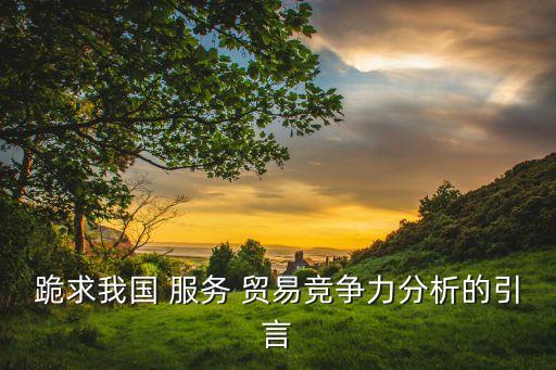 跪求我國 服務 貿易競爭力分析的引言