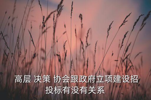  高層 決策 協(xié)會(huì)跟政府立項(xiàng)建設(shè)招投標(biāo)有沒有關(guān)系