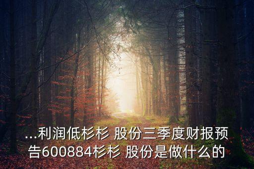 ...利潤(rùn)低杉杉 股份三季度財(cái)報(bào)預(yù)告600884杉杉 股份是做什么的