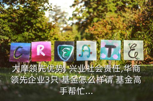 大摩領(lǐng)先優(yōu)勢(shì), 興業(yè)社會(huì)責(zé)任,華商領(lǐng)先企業(yè)3只 基金怎么樣請(qǐng) 基金高手幫忙...