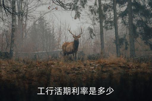 工商銀行存錢(qián)利息,10萬(wàn)元一年利息多少