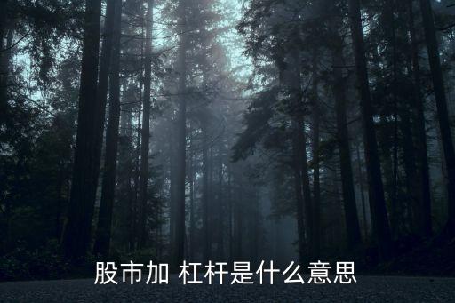 股市加 杠桿是什么意思