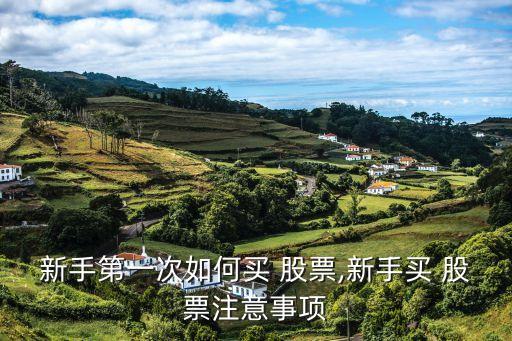 新手第一次如何買 股票,新手買 股票注意事項(xiàng)