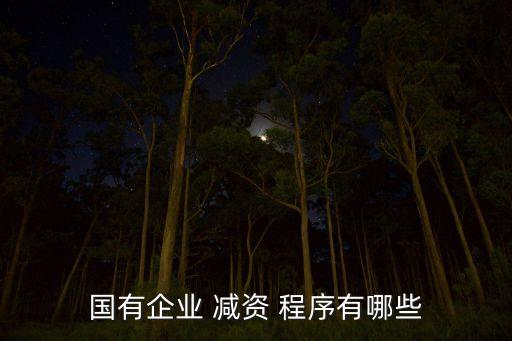 國有企業(yè) 減資 程序有哪些