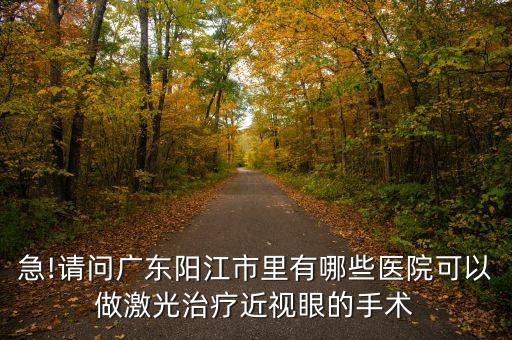 急!請(qǐng)問(wèn)廣東陽(yáng)江市里有哪些醫(yī)院可以做激光治療近視眼的手術(shù)
