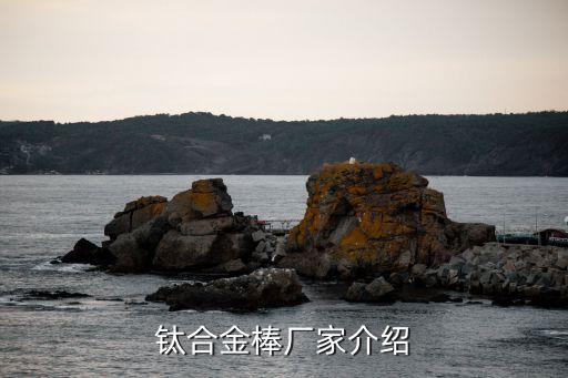 鈦合金棒廠家介紹