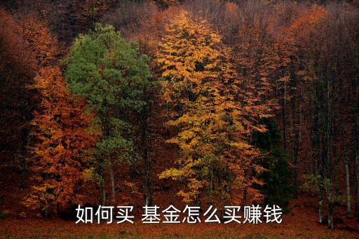 基金怎么花,課題基金怎么花