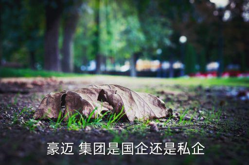  豪邁 集團(tuán)是國(guó)企還是私企