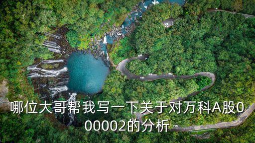 哪位大哥幫我寫一下關于對萬科A股000002的分析