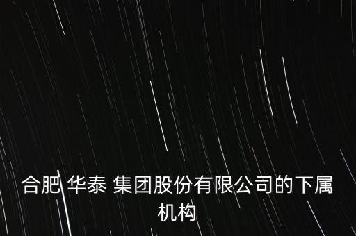合肥 華泰 集團股份有限公司的下屬機構