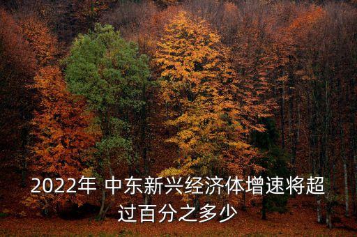 2022年 中東新興經(jīng)濟體增速將超過百分之多少