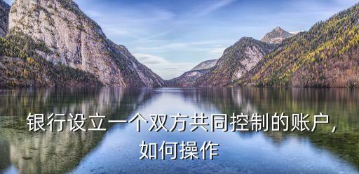  銀行設(shè)立一個(gè)雙方共同控制的賬戶,如何操作