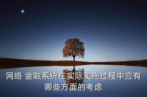 網(wǎng)絡(luò) 金融系統(tǒng)在實(shí)際實(shí)施過(guò)程中應(yīng)有哪些方面的考慮