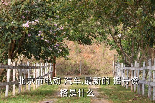  北京市電動(dòng) 汽車,最新的 搖號(hào)資格是什么
