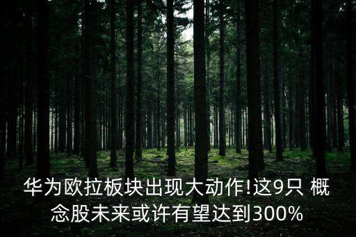 華為歐拉板塊出現(xiàn)大動(dòng)作!這9只 概念股未來或許有望達(dá)到300%