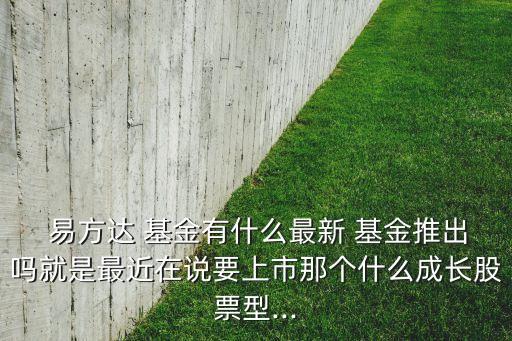 易方達(dá)基金公司所有者權(quán)益