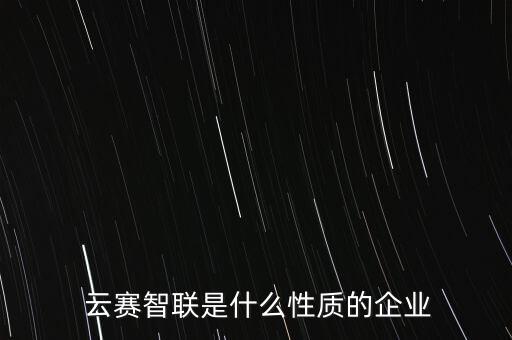  云賽智聯(lián)是什么性質的企業(yè)