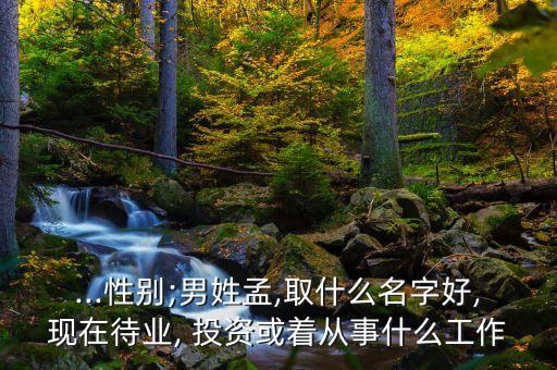 弘孟投資咨詢有限公司,深圳市銀河世紀(jì)投資咨詢有限公司