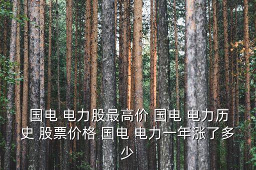  國電 電力股最高價(jià) 國電 電力歷史 股票價(jià)格 國電 電力一年漲了多少