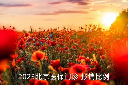 2023北京醫(yī)保門診 報銷比例