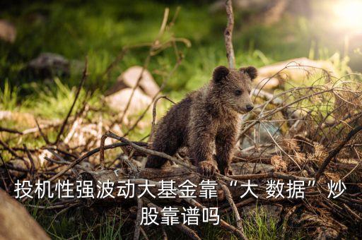 投機(jī)性強(qiáng)波動大基金靠“大 數(shù)據(jù)”炒股靠譜嗎