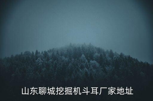  山東聊城挖掘機(jī)斗耳廠家地址