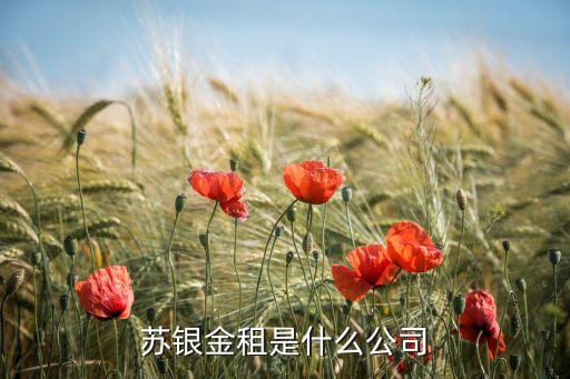 蘇銀金租是什么公司