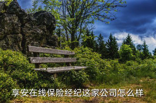 享安在線保險經(jīng)紀這家公司怎么樣