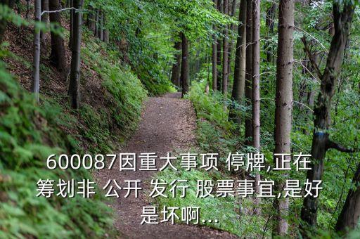 600087因重大事項 停牌,正在籌劃非 公開 發(fā)行 股票事宜,是好是壞啊...