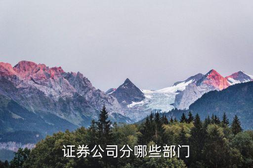 證券公司分哪些部門(mén)