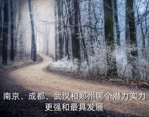 南京、成都、武漢和鄭州哪個(gè)潛力實(shí)力更強(qiáng)和最具發(fā)展