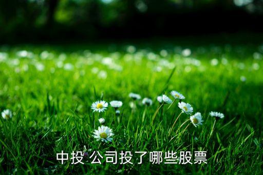 bumi公司,Bumi公司
