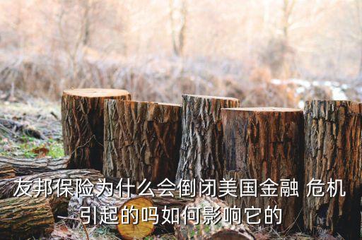 友邦保險為什么會倒閉美國金融 危機引起的嗎如何影響它的
