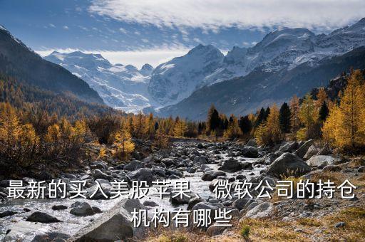 最新的買(mǎi)入美股蘋(píng)果、微軟公司的持倉(cāng)機(jī)構(gòu)有哪些