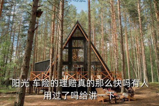  陽(yáng)光 車險(xiǎn)的理賠真的那么快嗎有人用過(guò)了嗎給講一下