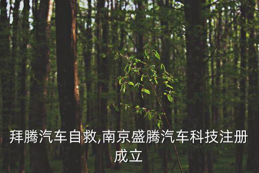 盛屯集團(tuán)借殼,深圳盛屯集團(tuán)