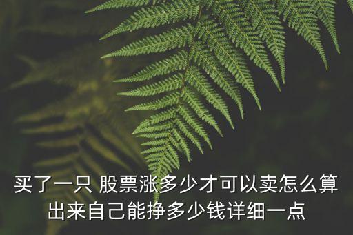 買了一只 股票漲多少才可以賣怎么算出來自己能掙多少錢詳細(xì)一點(diǎn)
