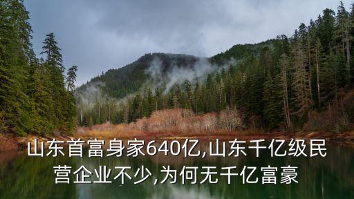 山東首富身家640億,山東千億級(jí)民營(yíng)企業(yè)不少,為何無(wú)千億富豪