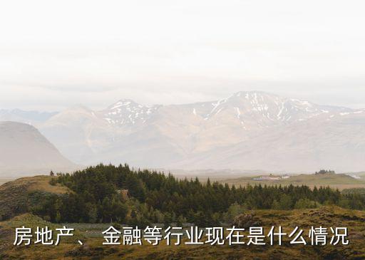 房地產(chǎn)、 金融等行業(yè)現(xiàn)在是什么情況