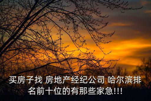 哈爾濱哈投房地產(chǎn)開(kāi)發(fā)有限公司